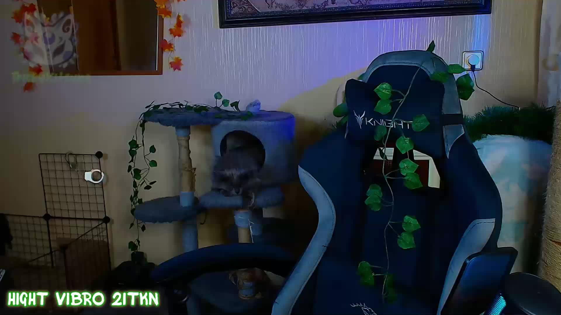 Tricky_Kitsune Live Sex August 16, 2026