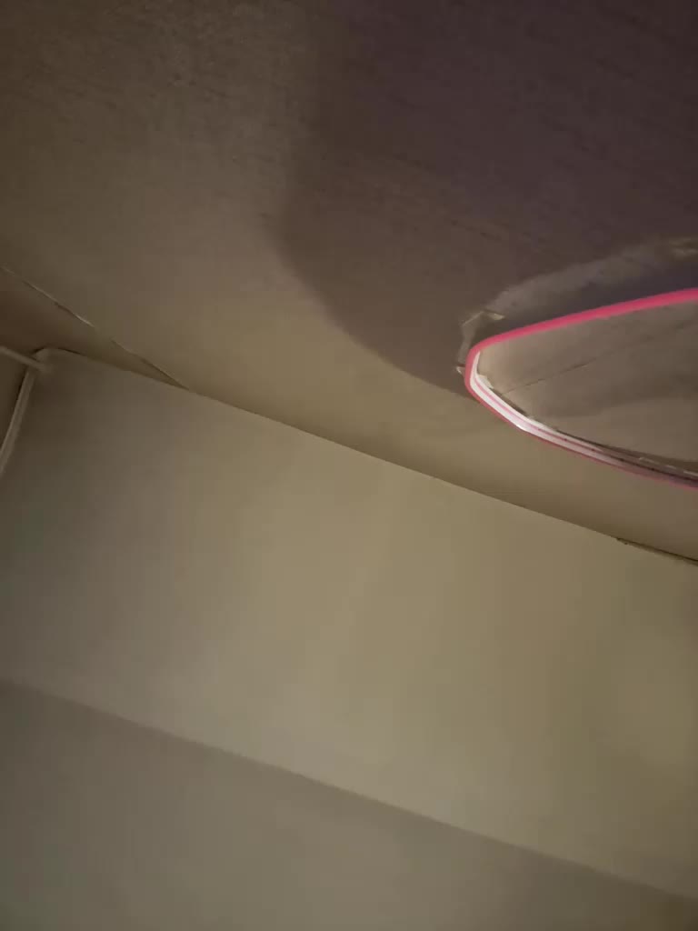 Wow-Eva Live Sex August 20, 2026