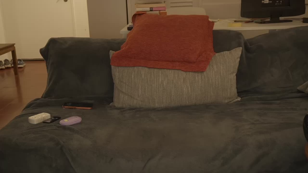 Timissi Live Sex August 25, 2026