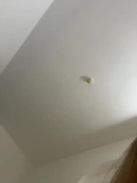 DilaraSecret Live Sex August 26, 2026