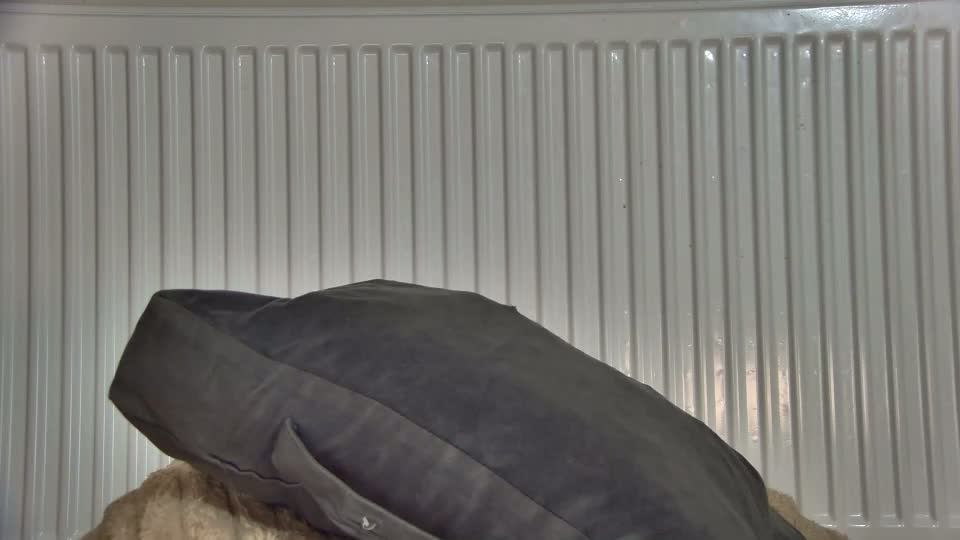 anaworld69 Live Sex September 1, 2026