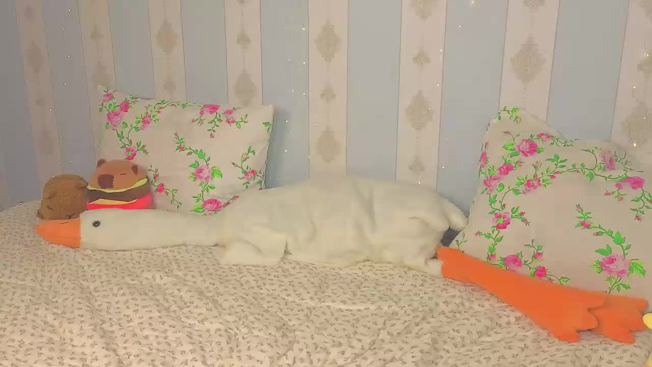 miya-soft Live Sex September 4, 2026
