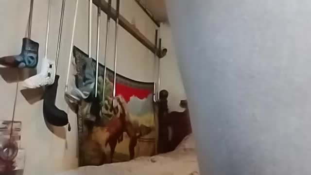 rustyshackelford1902 Live Sex September 13, 2026