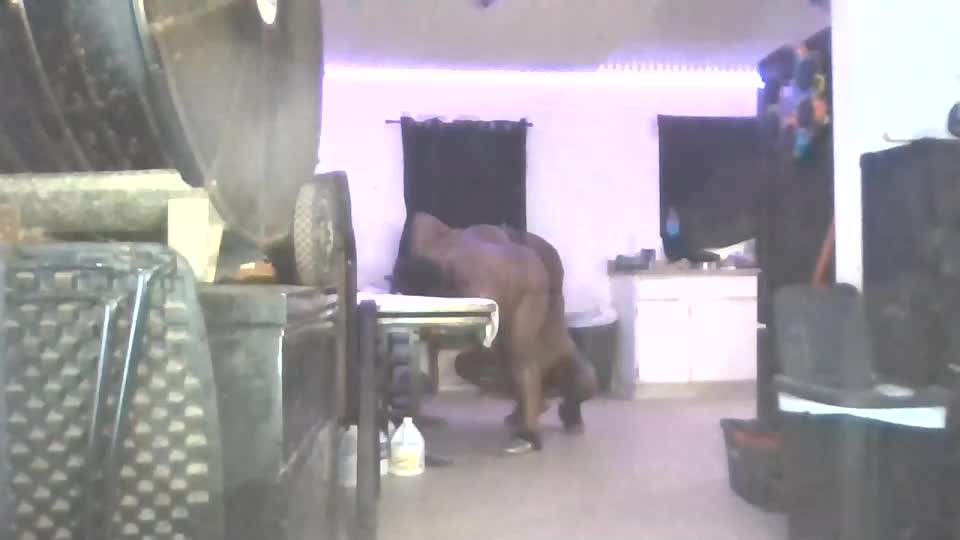 hisforever Live Sex September 15, 2026