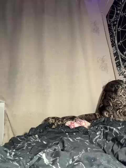 Sofelcamss Live Sex September 15, 2026