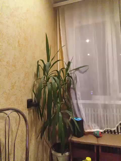Sweet_Symphony Live Sex September 16, 2026