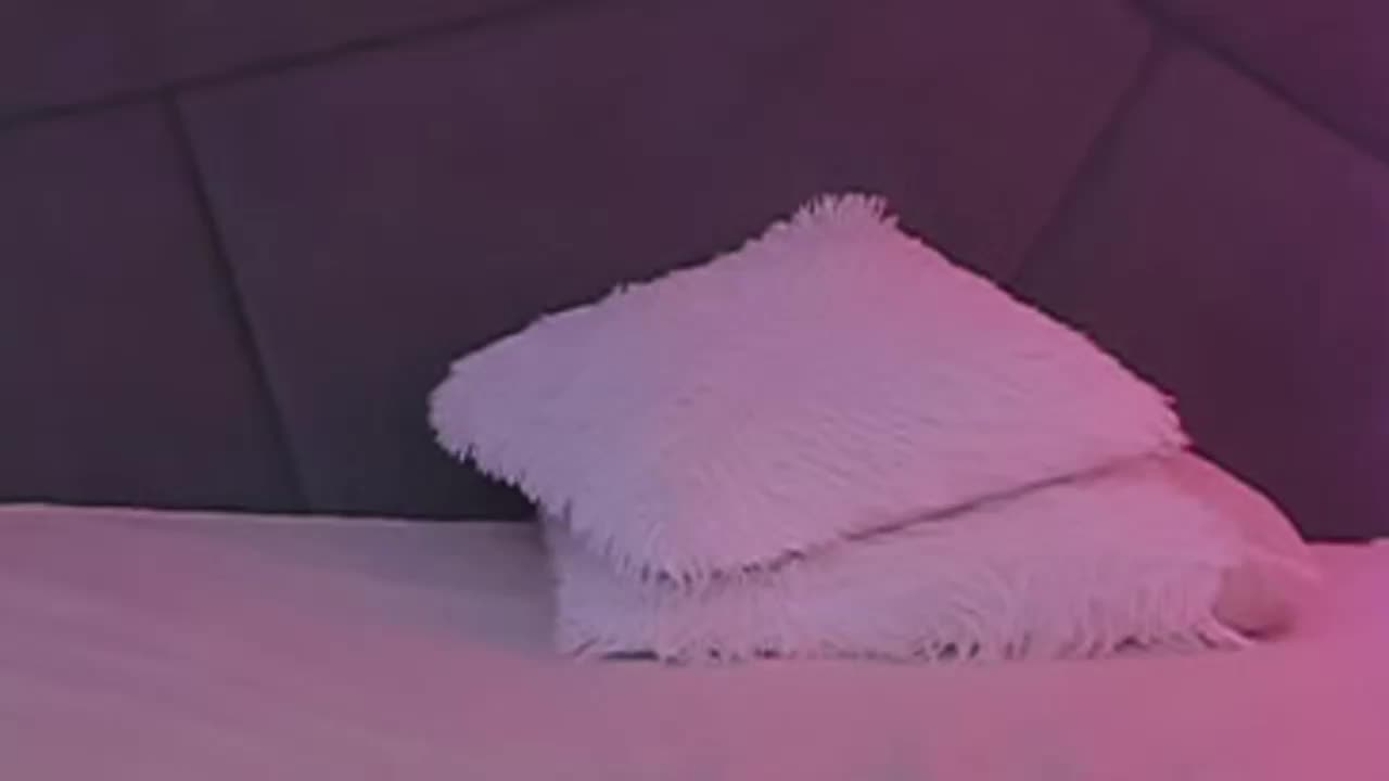 HollyTaillor Live Sex September 16, 2026